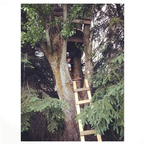 Magical tree fort